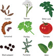 set of different spices