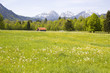 lovely panorama in the Alps in Germany