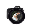 Wedding photo