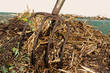 Photo: Kompost Kompost