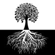 Tree with Roots on Black and white Background