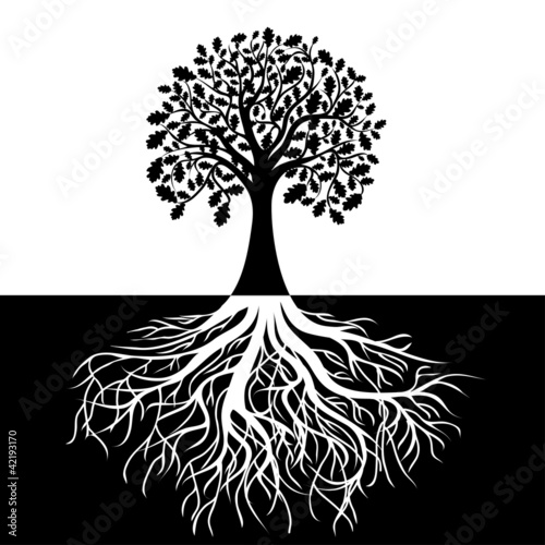 Vector: Tree with Roots on Black and white Background Tree with Roots on Black and white Background