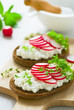 Radish sandwich with watercress salad