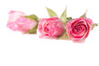 Photo: bouquet of beautiful roses on white background bouquet of beautiful roses on white background