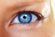 Delicate lashes - Cosmetics
