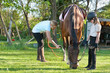 girl sprays horse