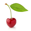 Photo: One cherry with leaf One cherry with leaf