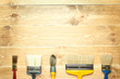 Photo: Different paintbrushes Different paintbrushes