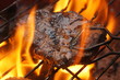 Grillen