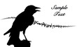 Silhouette of a singing bird and butterflies