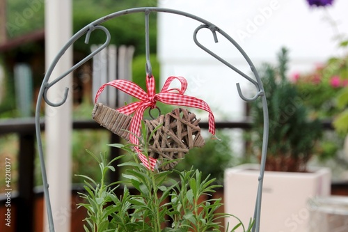 Foto: garten garten