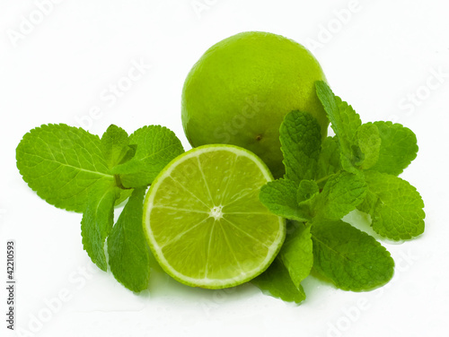 Illustration: limes and mint isolated on a white background limes and mint isolated on a white background