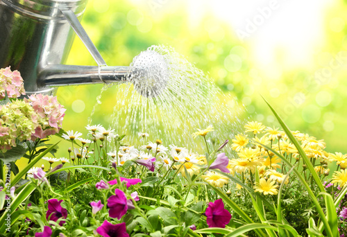 Photo: Gardening Gardening