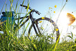 Trekkingbike Pause im Gegenlicht