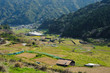 Photo: 嬉野田園風景 嬉野田園風景