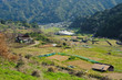 Photo: 嬉野田園風景 嬉野田園風景