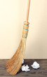 Broom and papers on floor in room