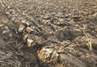 Plowing
