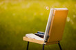 Easel with camomile in the field