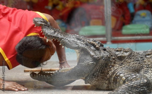 Photo: crocodile crocodile