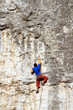 Climber on the wall.