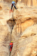 Climber on the wall.