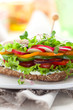 Vegetable Sandwich