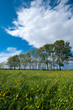 Foto: spring landscape spring landscape