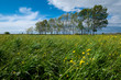 Foto: spring landscape spring landscape