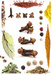 Different spices isolated on white background