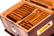 Cigars in humidor