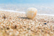 Foto: shell 1 shell 1