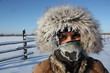 grand nord