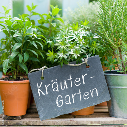 Photo: Kräutergarten Kräutergarten