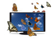 Flat TV mit blauem Himmel und Insekten