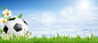 Soccer ball on field