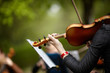 violin