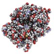 Ricin vaccine molecule