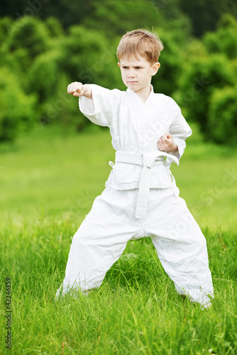 Photo: Little boy make karate exercises Little boy make karate exercises