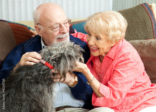 Foto: Seniors at Home with Their Dog Seniors at Home with Their Dog