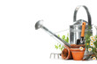 Gardening tools and flowers