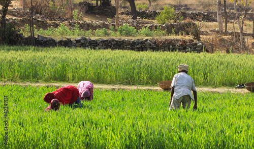 Photo: Women Farming Women Farming
