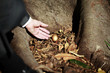 Photo: Golden Egg Golden Egg