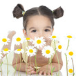 Foto: little girl with daisies on white little girl with daisies on white