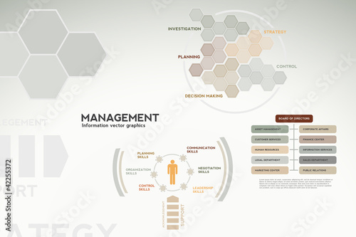 Vector: Management infographics - icons, graphs, charts and statistics Management infographics - icons, graphs, charts and statistics