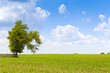American Countryside