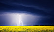storm