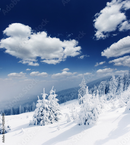 Foto: Winter Winter