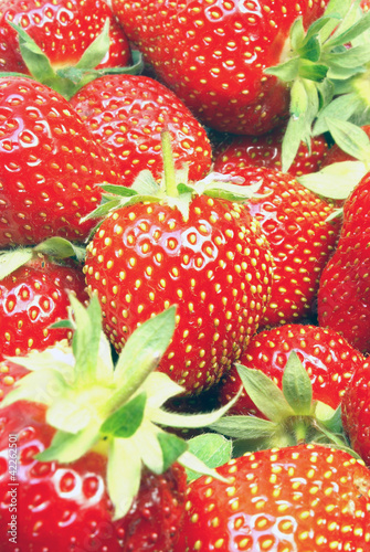 Photo: Erdbeeren Erdbeeren