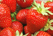 canvas print picture - Erdbeeren